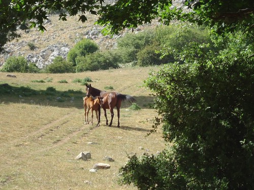 Madonie-Naturpark-Ritt auf Sizilien