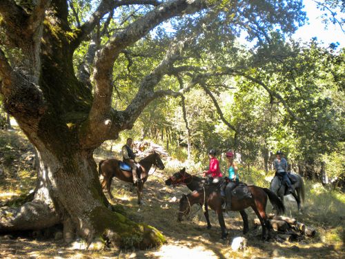 Madonie-Naturpark-Ritt auf Sizilien