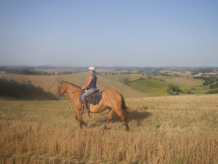 Reiten und Geniessen in Montalcino