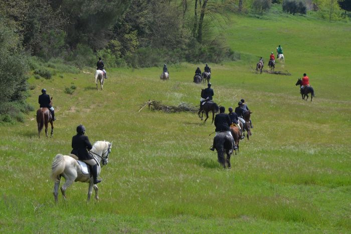 Reiten und Geniessen in Montalcino