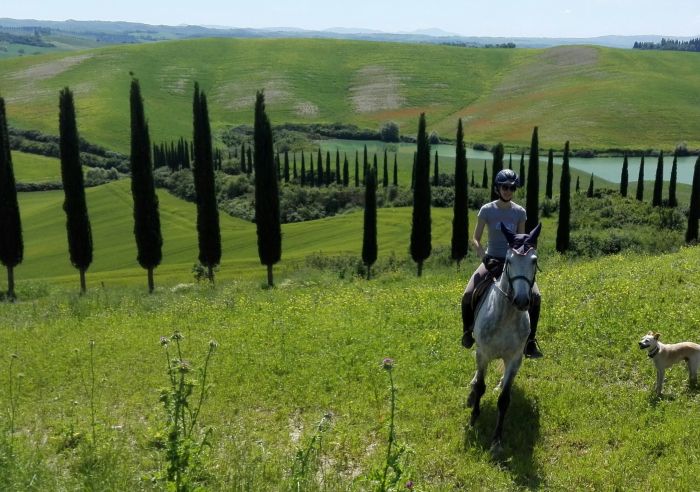 Reiten und Geniessen in Montalcino