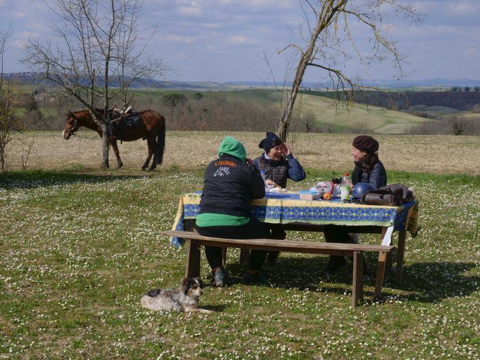 Reiten und Geniessen in Montalcino