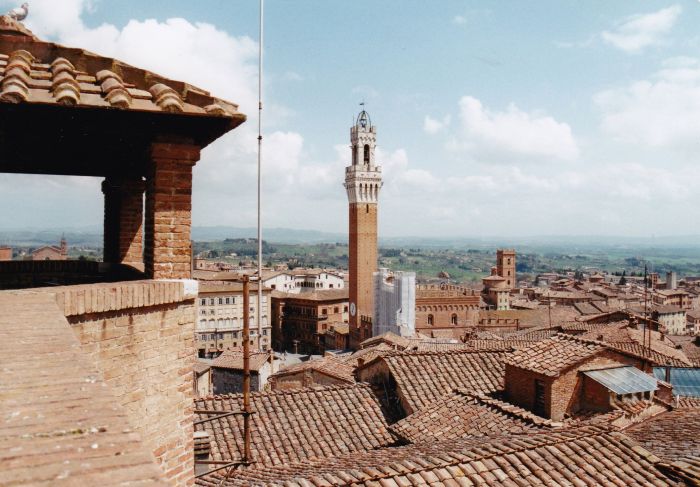 Reiten und Geniessen in Montalcino