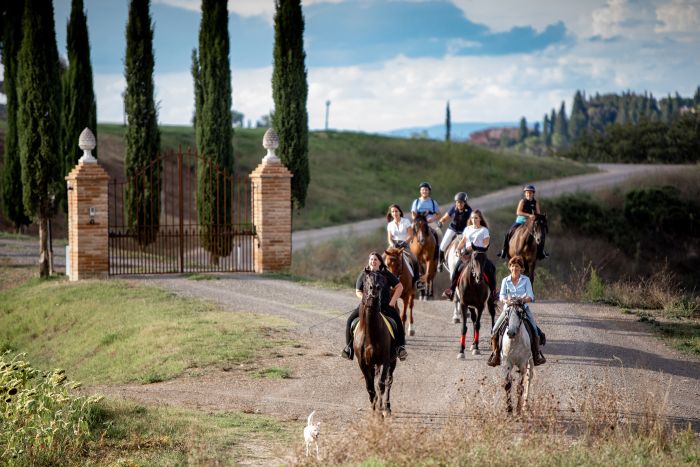 Reiten und Geniessen in Montalcino