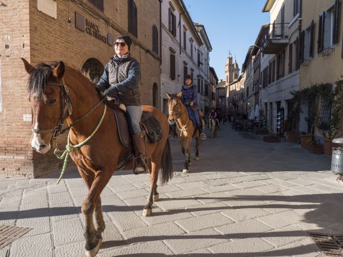 Reiten und Geniessen in Montalcino