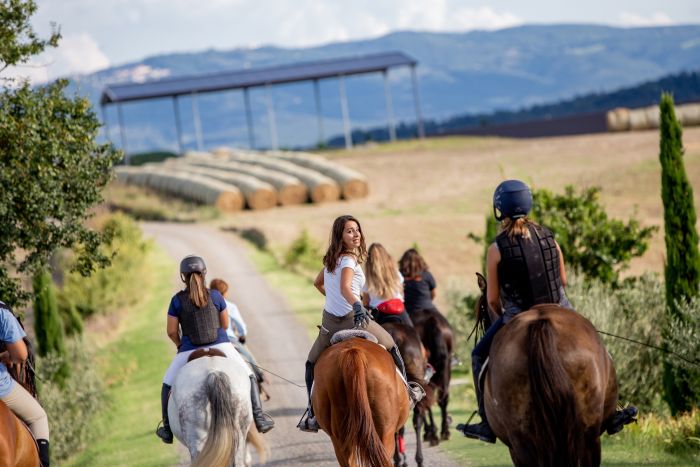 Reiten und Geniessen in Montalcino