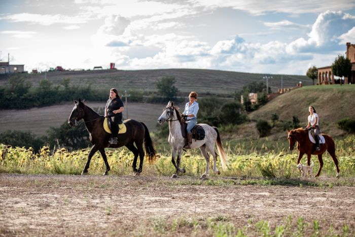 Reiten und Geniessen in Montalcino