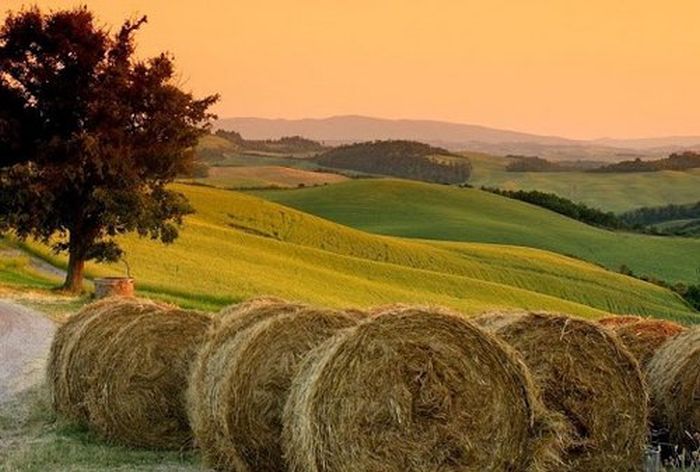 Reiten und Geniessen in Montalcino