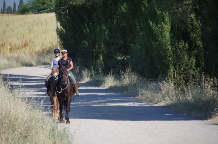 Reiten und Geniessen in Montalcino