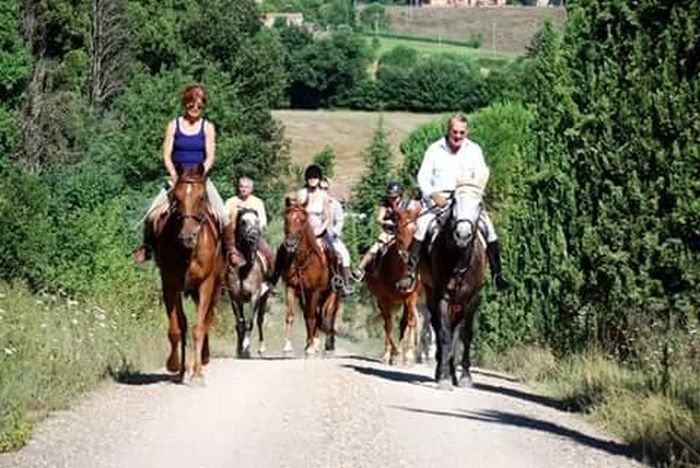 Reiten und Geniessen in Montalcino