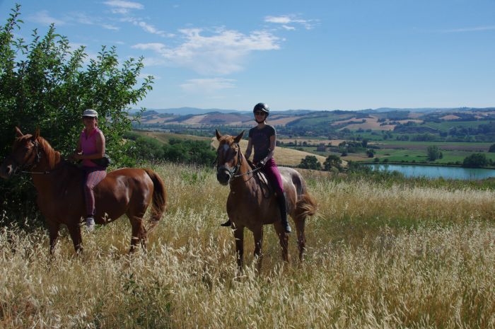 Reiten und Geniessen in Montalcino