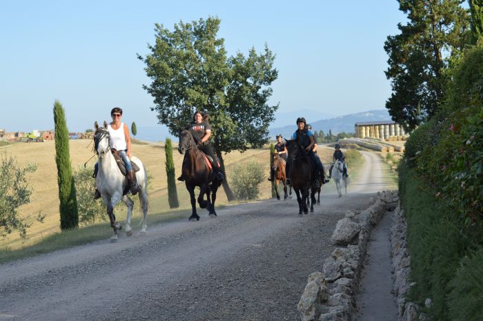 Reiten und Geniessen in Montalcino