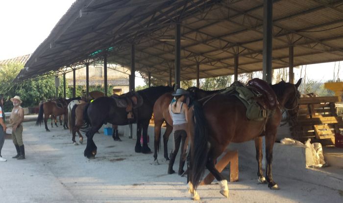 Reiten und Geniessen in Montalcino