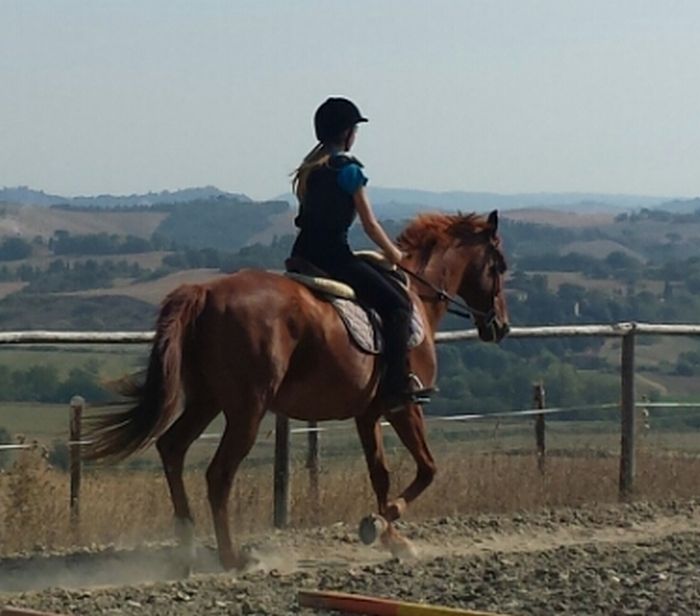 Reiten und Geniessen in Montalcino