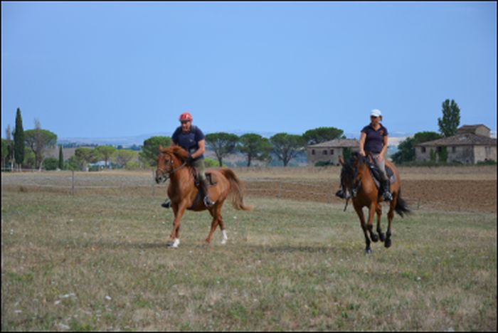 Reiten und Geniessen in Montalcino