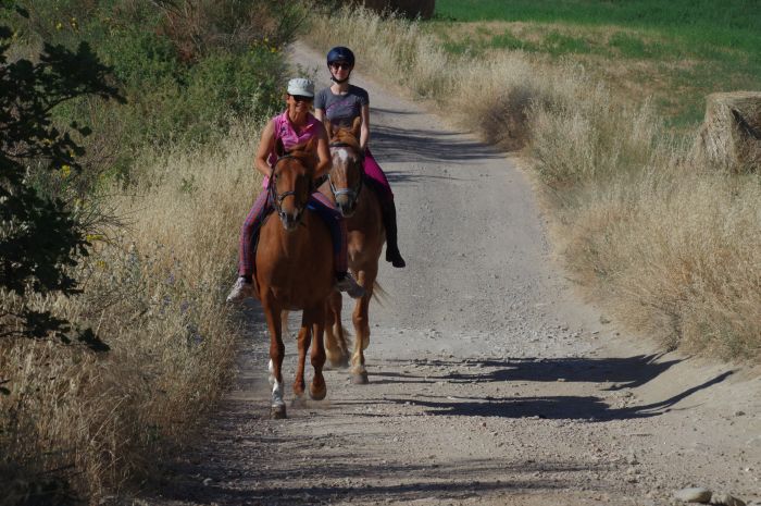 Reiten und Geniessen in Montalcino