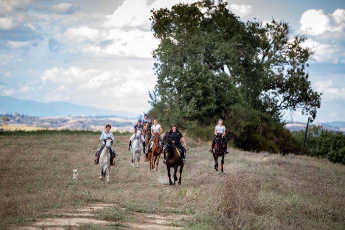 Reiten und Geniessen in Montalcino