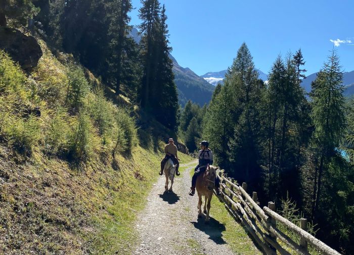 Almritte in Südtirol