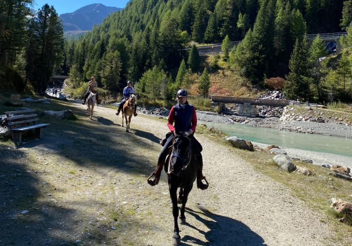 Almritte in Südtirol