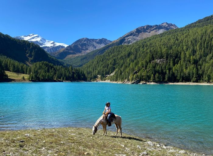 Almritte in Südtirol