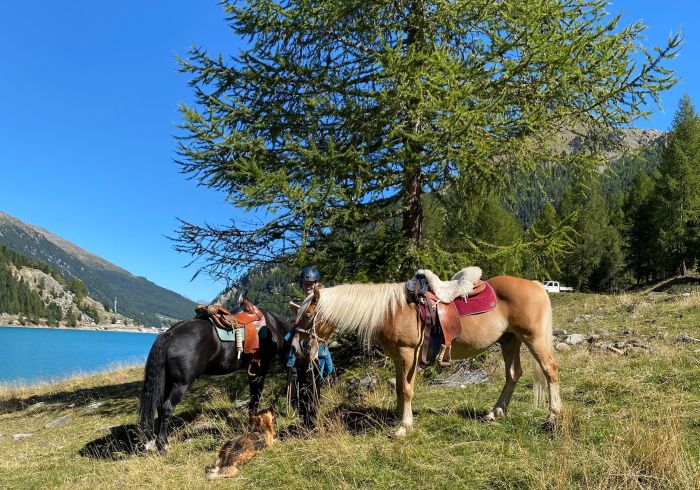Almritte in Südtirol