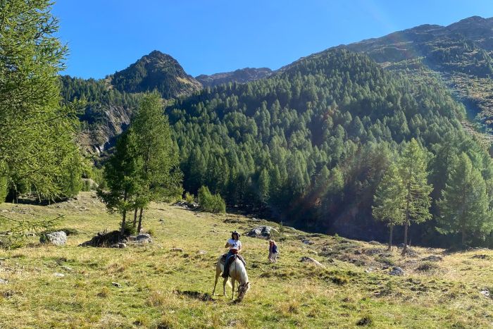 Almritte in Südtirol