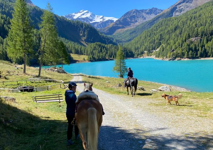Almritte in Südtirol