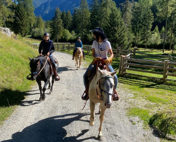 Almritte in Südtirol