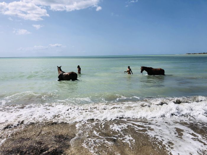 Mittelalter und Meer Westsizilien
