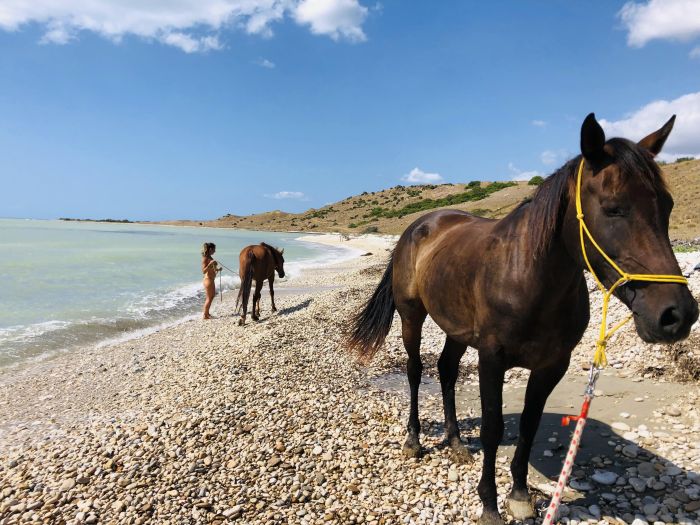 Mittelalter und Meer Westsizilien