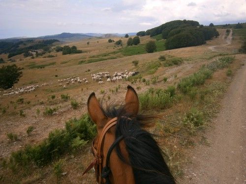 Ätna-Naturpark-Trail mit Komfort