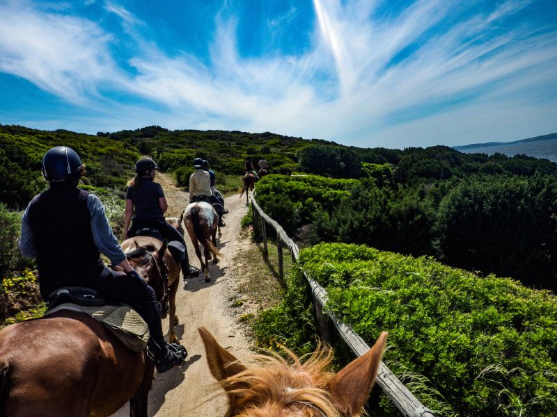 Inselabenteuer Südsardinien