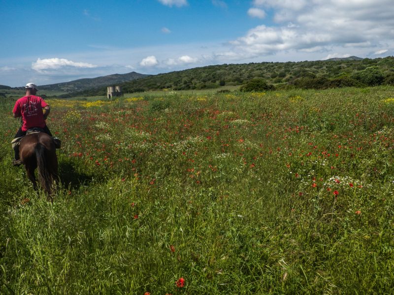 Inselabenteuer Südsardinien