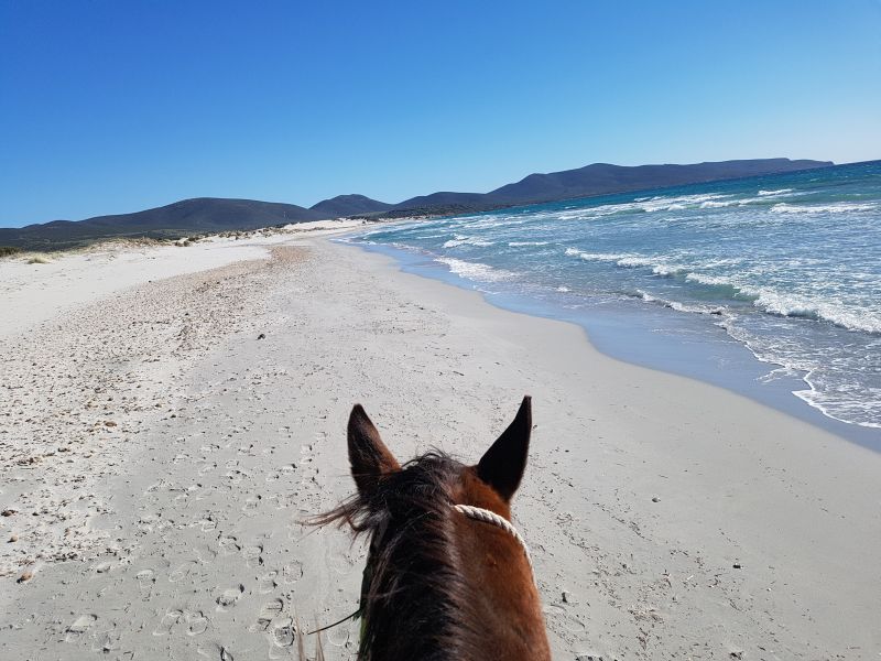 Inselabenteuer Südsardinien