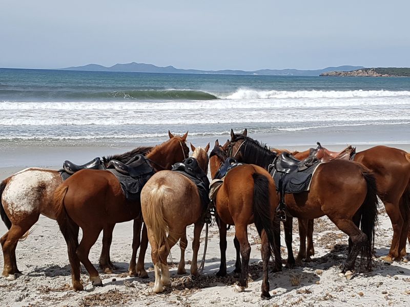 Inselabenteuer Südsardinien