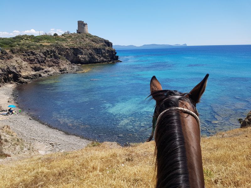 Inselabenteuer Südsardinien