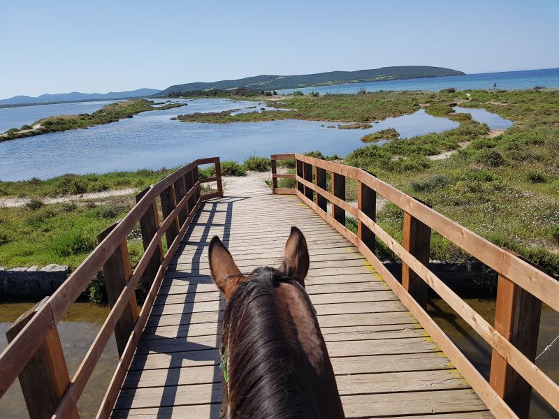 Inselabenteuer Südsardinien