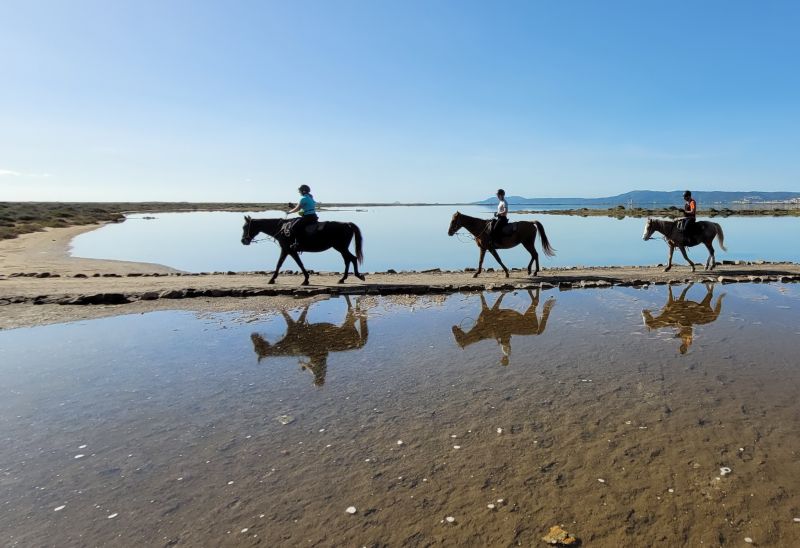 Inselabenteuer Südsardinien