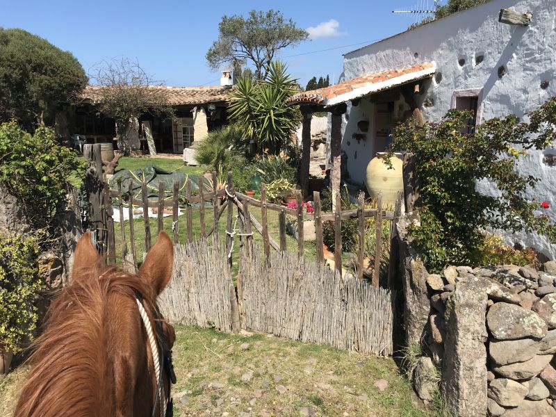 Inselabenteuer Südsardinien