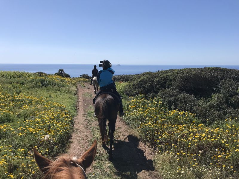 Inselabenteuer Südsardinien