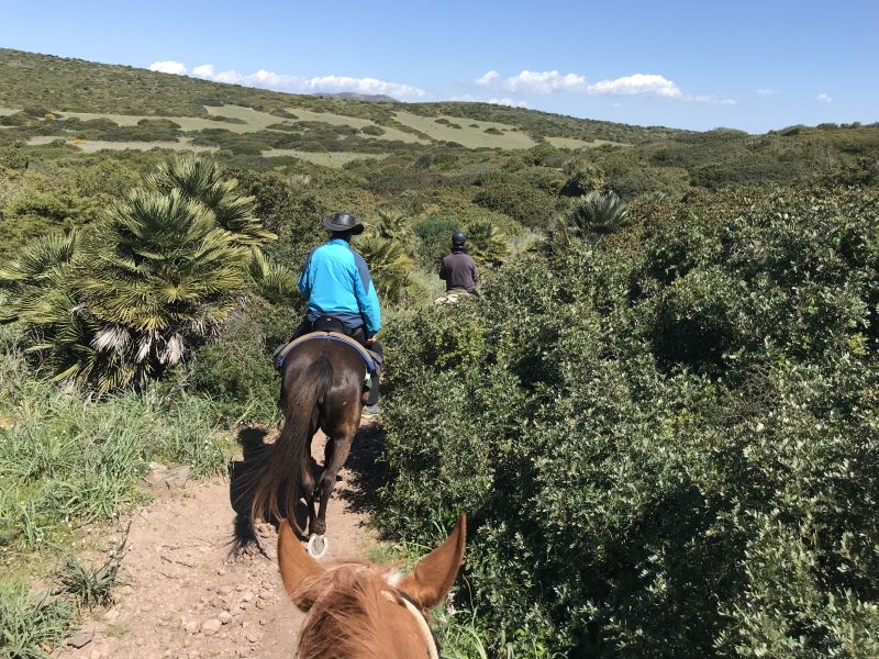 Inselabenteuer Südsardinien