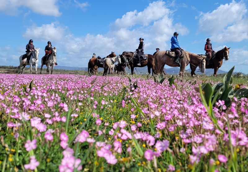 Inselabenteuer Südsardinien