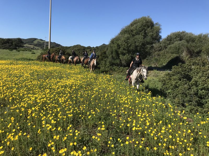 Inselabenteuer Südsardinien