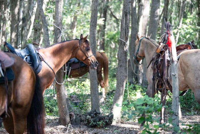 Zwischen Meer und Maremma&nbsp;
