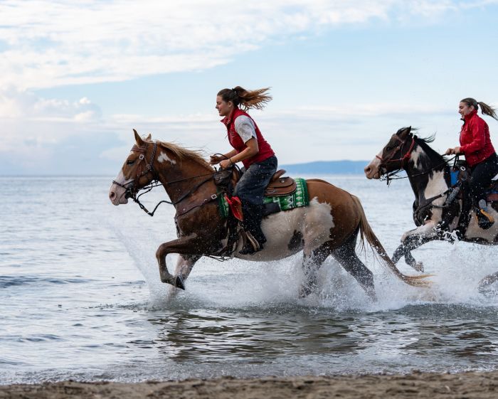 Zwischen Meer und Maremma&nbsp;