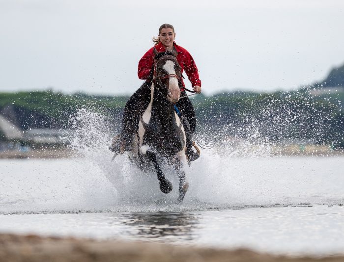 Zwischen Meer und Maremma&nbsp;