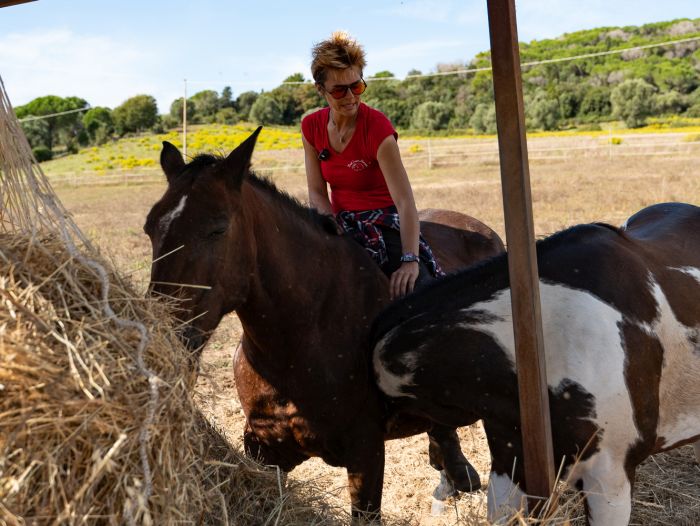 Zwischen Meer und Maremma&nbsp;