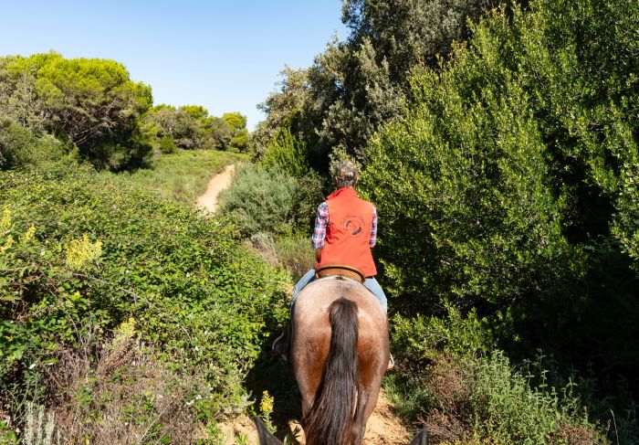 Zwischen Meer und Maremma&nbsp;