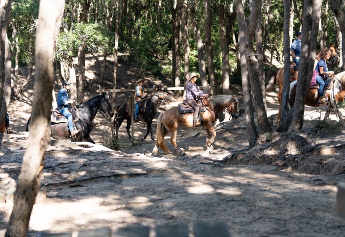Zwischen Meer und Maremma&nbsp;