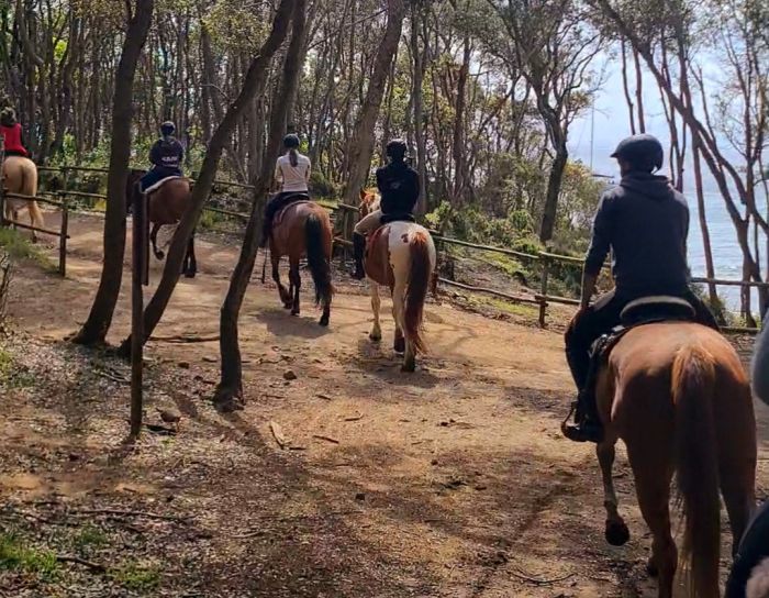 Zwischen Meer und Maremma&nbsp;